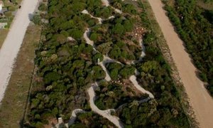 Herbarium se Fynbos Garden